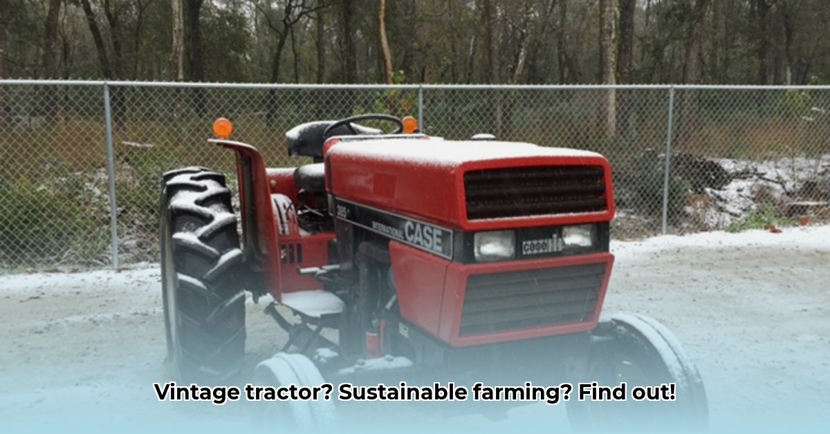 385-international-tractor